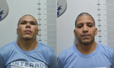 Design-sem-nome-1-3 (1)