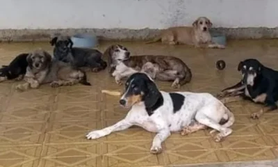 Frame-183-17-976x600