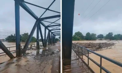 Frame-187-62-976x600