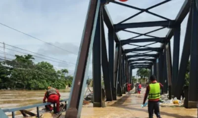 Frame-205-24-1-976×600 Frame-205-24-1-976x600