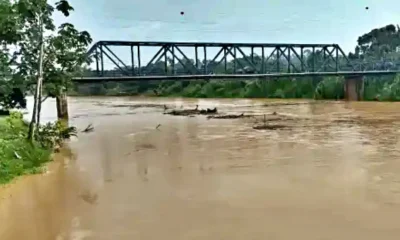 Frame-205-27-976×600 Frame-205-27-976x600