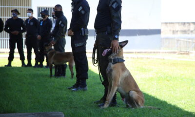 IAPEN-11-1536×1024 IAPEN-11-1536x1024