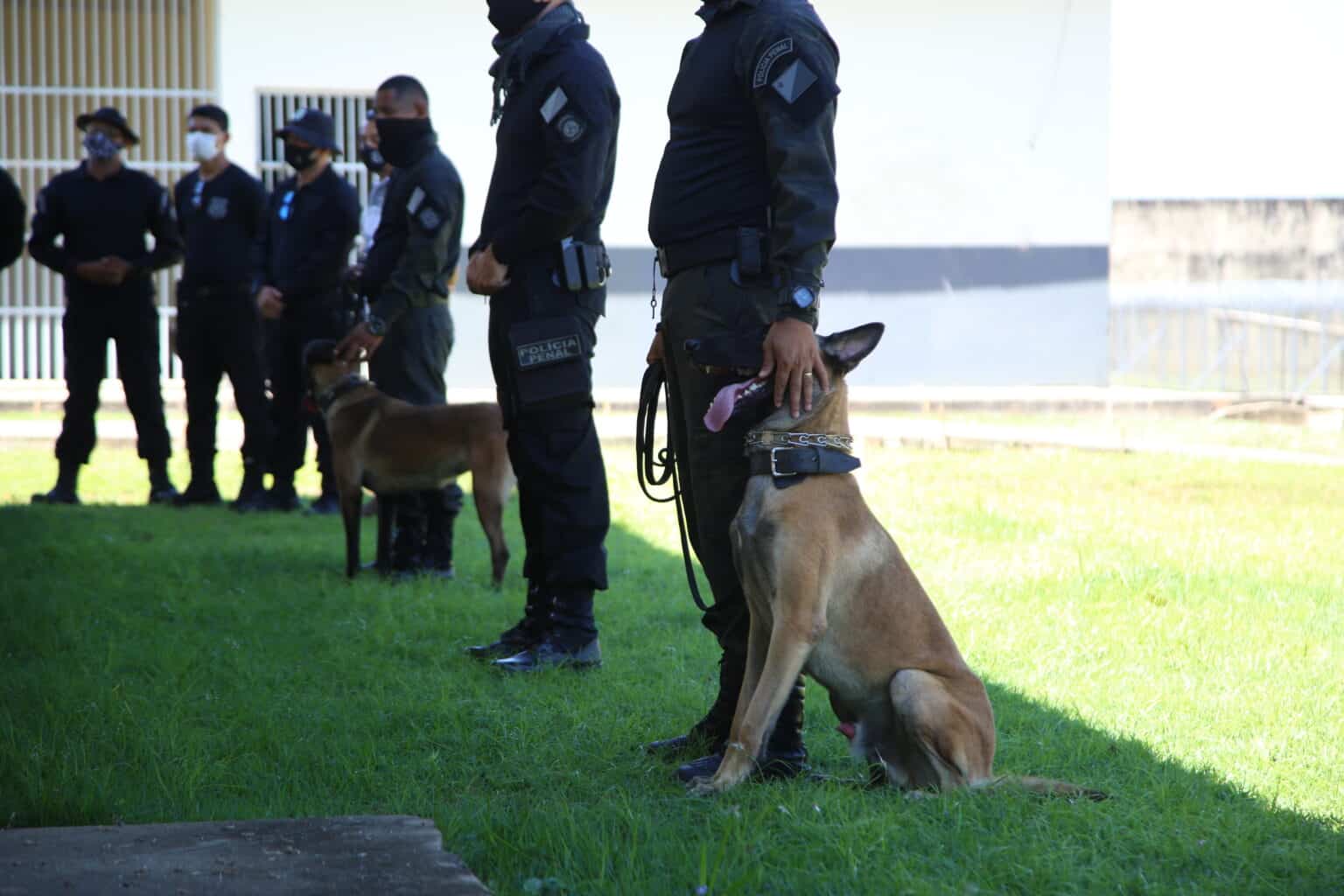 Governo divulga resultado preliminar da prova de aptidão física do concurso do Iapen