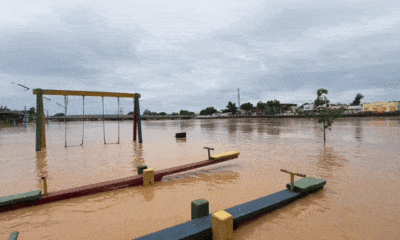 IMG_3323-ezgif.com-optimize