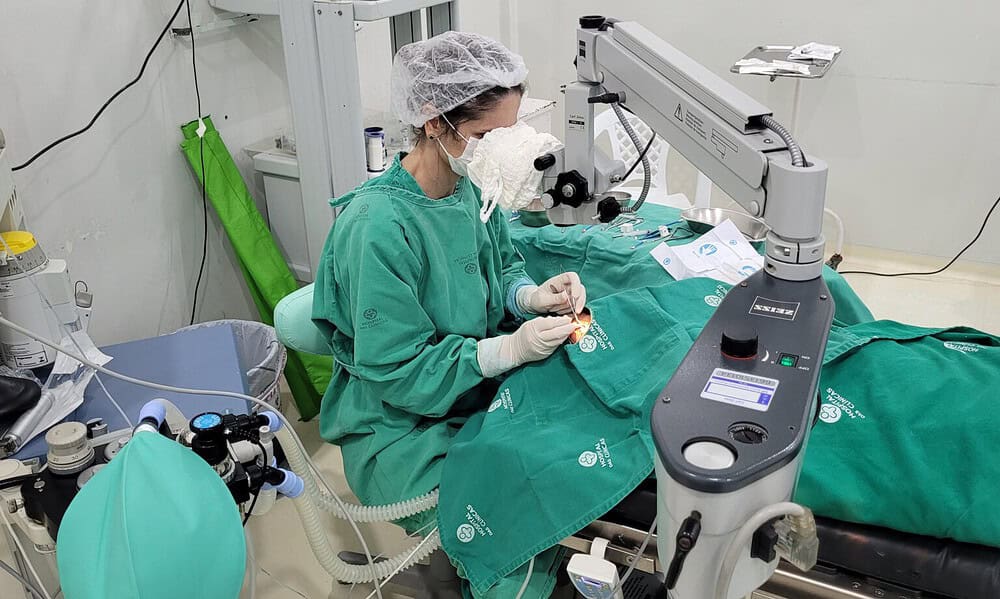 IMG_6838-1536×1152 IMG_6838-1536x1152