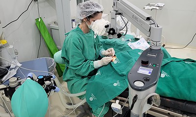 IMG_6838-1536×1152 IMG_6838-1536x1152