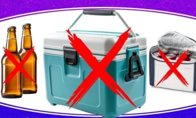 PODE-E-NAO-PODE-GELEIRA-1000x600