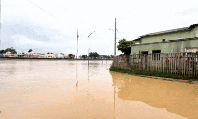 VdeodoWhatsAppde2024-02-23s12.34.16_43af2e78-ezgif.com-optimize-1