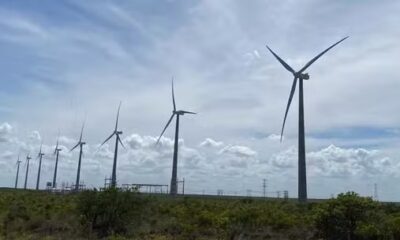 WhatsApp Image 2024-02-02 at 15.17.08 WhatsApp Image 2024-02-02 at 15.17.08