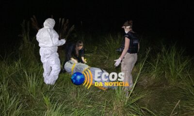 WhatsApp Image 2024-02-06 at 01.22.13 WhatsApp Image 2024-02-06 at 01.22.13