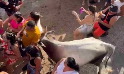 WhatsApp Image 2024-02-13 at 16.15.09 WhatsApp Image 2024-02-13 at 16.15.09