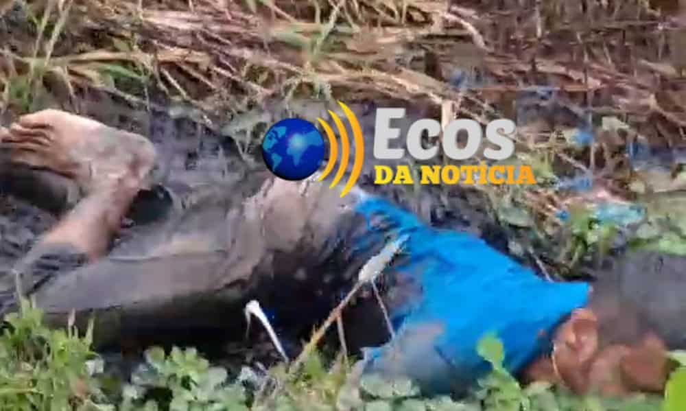 WhatsApp Image 2024-02-14 at 17.52.45 WhatsApp Image 2024-02-14 at 17.52.45