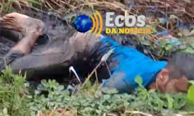 WhatsApp Image 2024-02-14 at 17.52.45 WhatsApp Image 2024-02-14 at 17.52.45