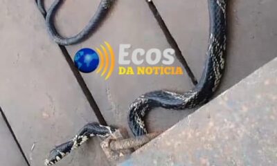 WhatsApp Image 2024-02-27 at 16.42.39 WhatsApp Image 2024-02-27 at 16.42.39