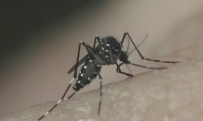 WhatsApp Image 2024-02-29 at 18.41.43 WhatsApp Image 2024-02-29 at 18.41.43