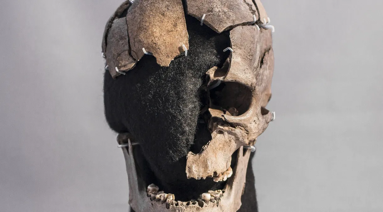 Cientistas desvendam história do “Homem de Vittrup”, morto há 5.200 anos na Dinamarca