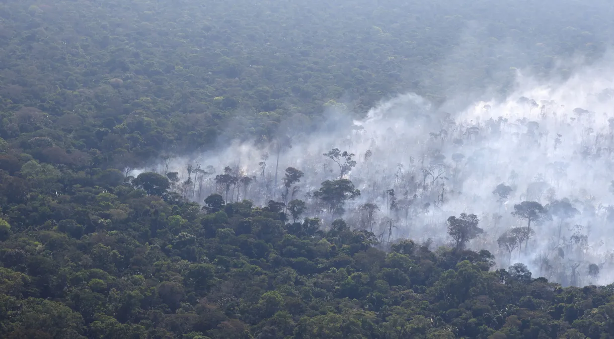 Danos à Amazônia podem se tornar irreversíveis até 2050, alerta estudo