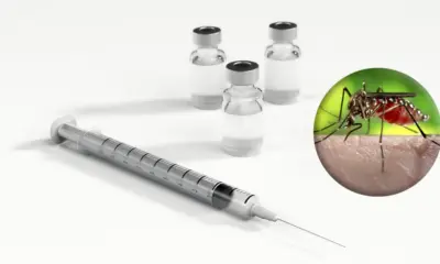 20230307_vacina_dengue Fotomontagem com imagens de Pixabay e Wikimedia Commons