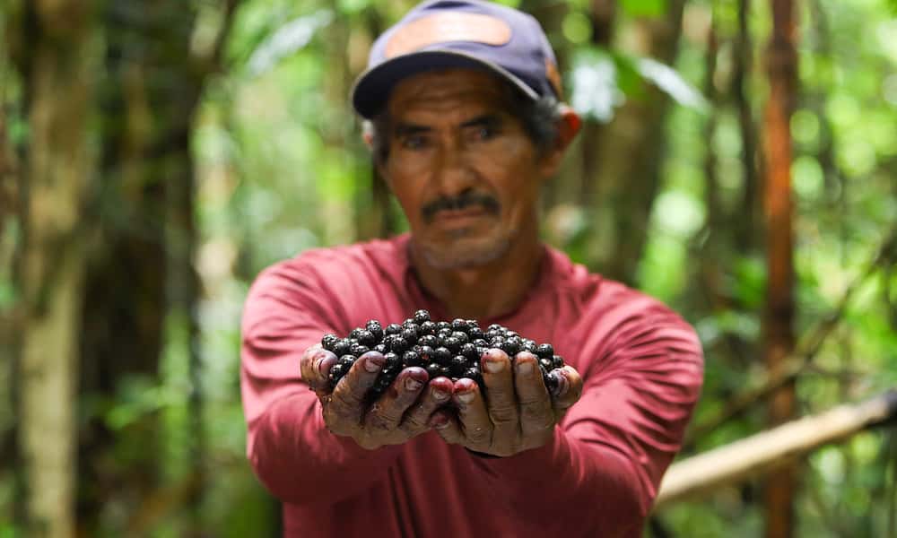 Foto: Marcos Vicentti/Secom