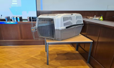 Captura-de-tela-de-2024-03-01-17-09-43 Captura-de-tela-de-2024-03-01-17-09-43