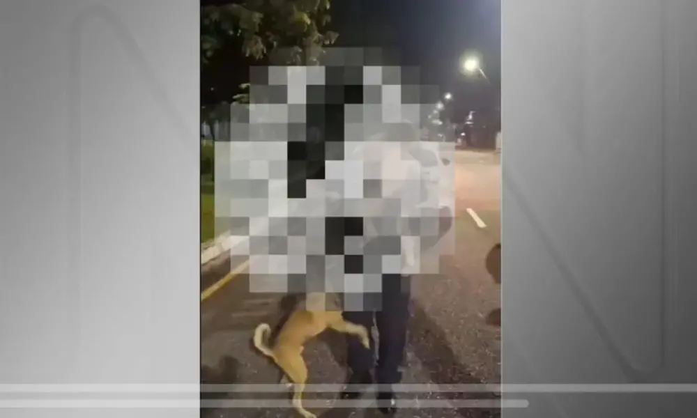 Copia-de-Copia-de-Placeholder-site Cachorro caramelo protege criança de 1 ano resgatada por guardas após fugir de casa
Reprodução/Guarda Municipal de Belém