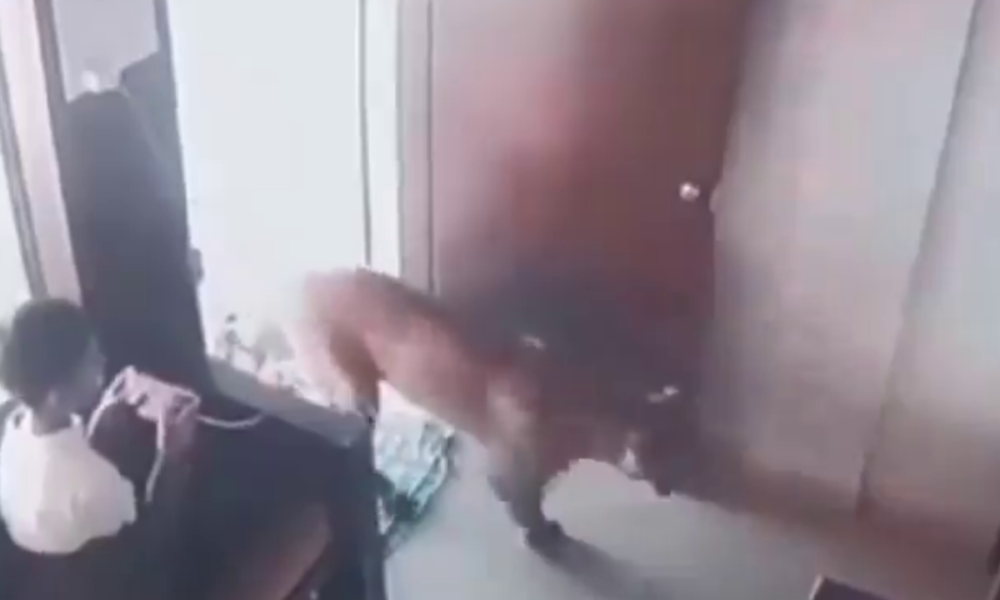 Copia-de-Destaque-site-31 Copia-de-Destaque-site-31