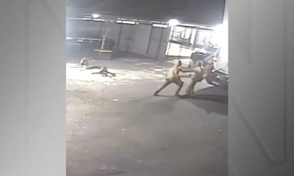 Policiais do GOE saem no tapa por conta da escala de trabalho
Reprodução/Redes Sociais