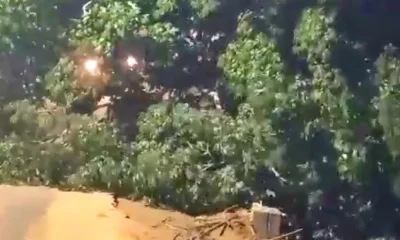 Frame-214-3-976x600 (1)