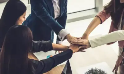 Frame-240-26-1-976x600