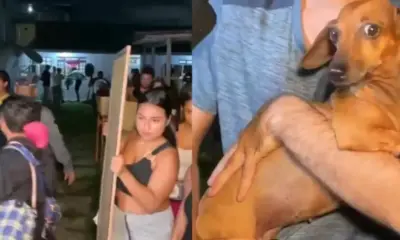 Frame-240-30-976×600 Frame-240-30-976x600