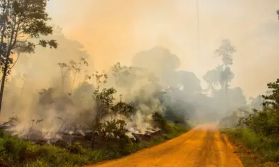 Frame-240-31-976×600 Foto: Ramon Aquim