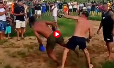 Frame-240-63-976x600