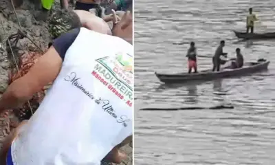 JACARE_2M-996×600 JACARE_2M-996x600