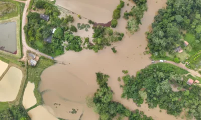 PROUTORES-ALAGADOS-1000x600