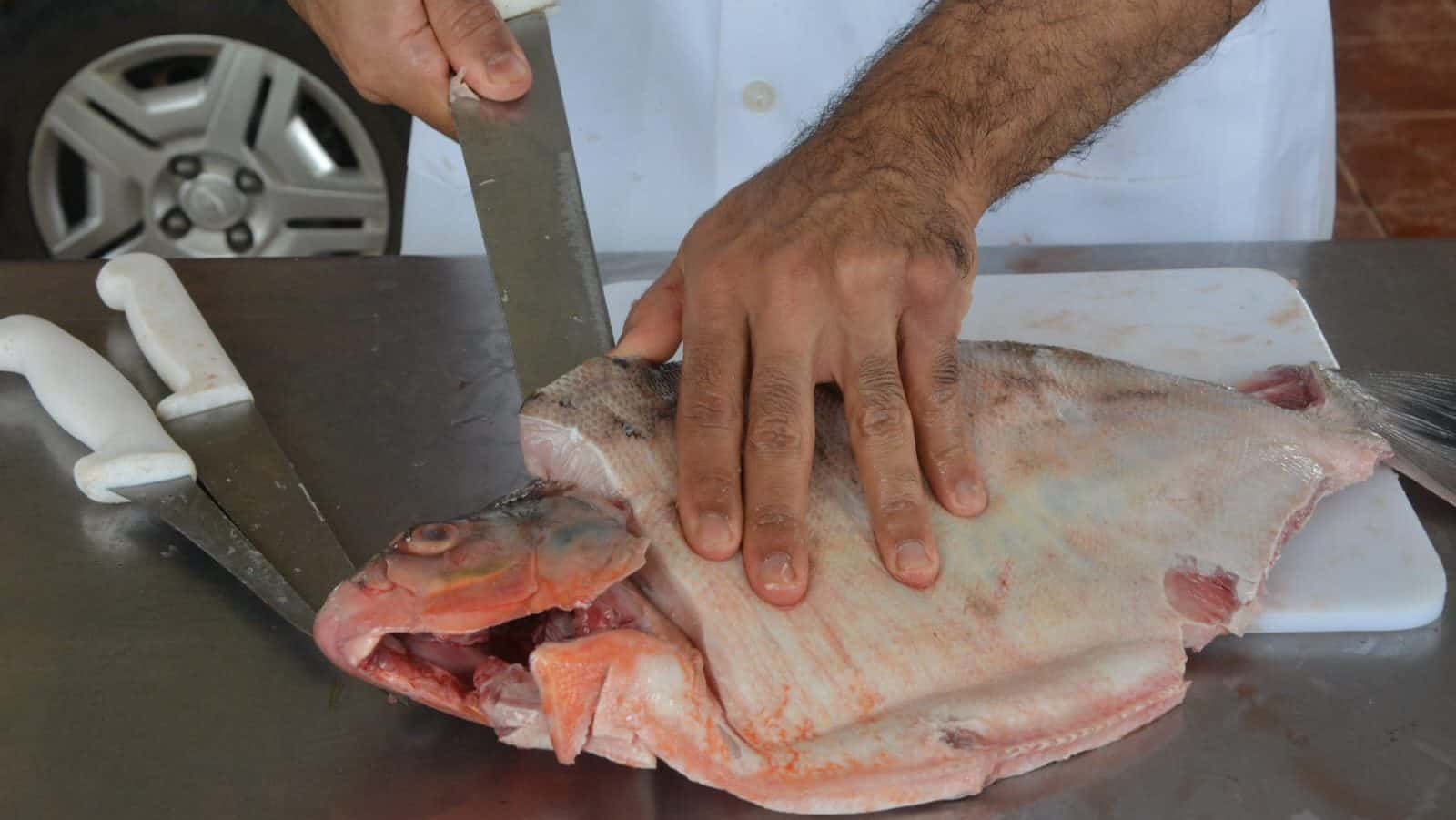 Prefeitura de Rio Branco oferece curso de filetagem aos produtores da piscicultura