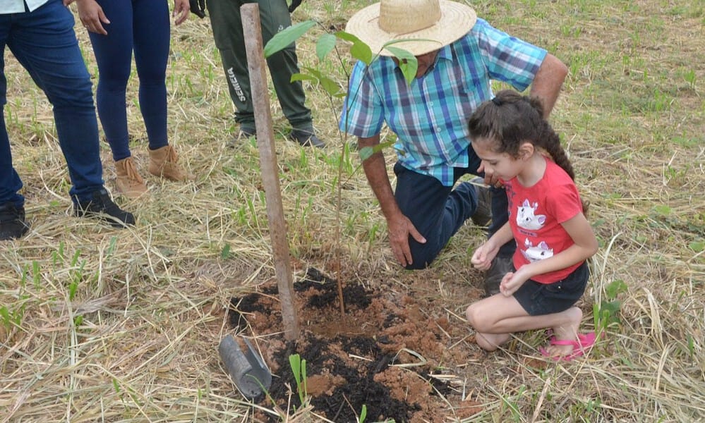 Plantio-Arvores-5-e1711126573389 Foto: Evandro Derze/Assecom