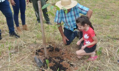 Plantio-Arvores-5-e1711126573389 Foto: Evandro Derze/Assecom