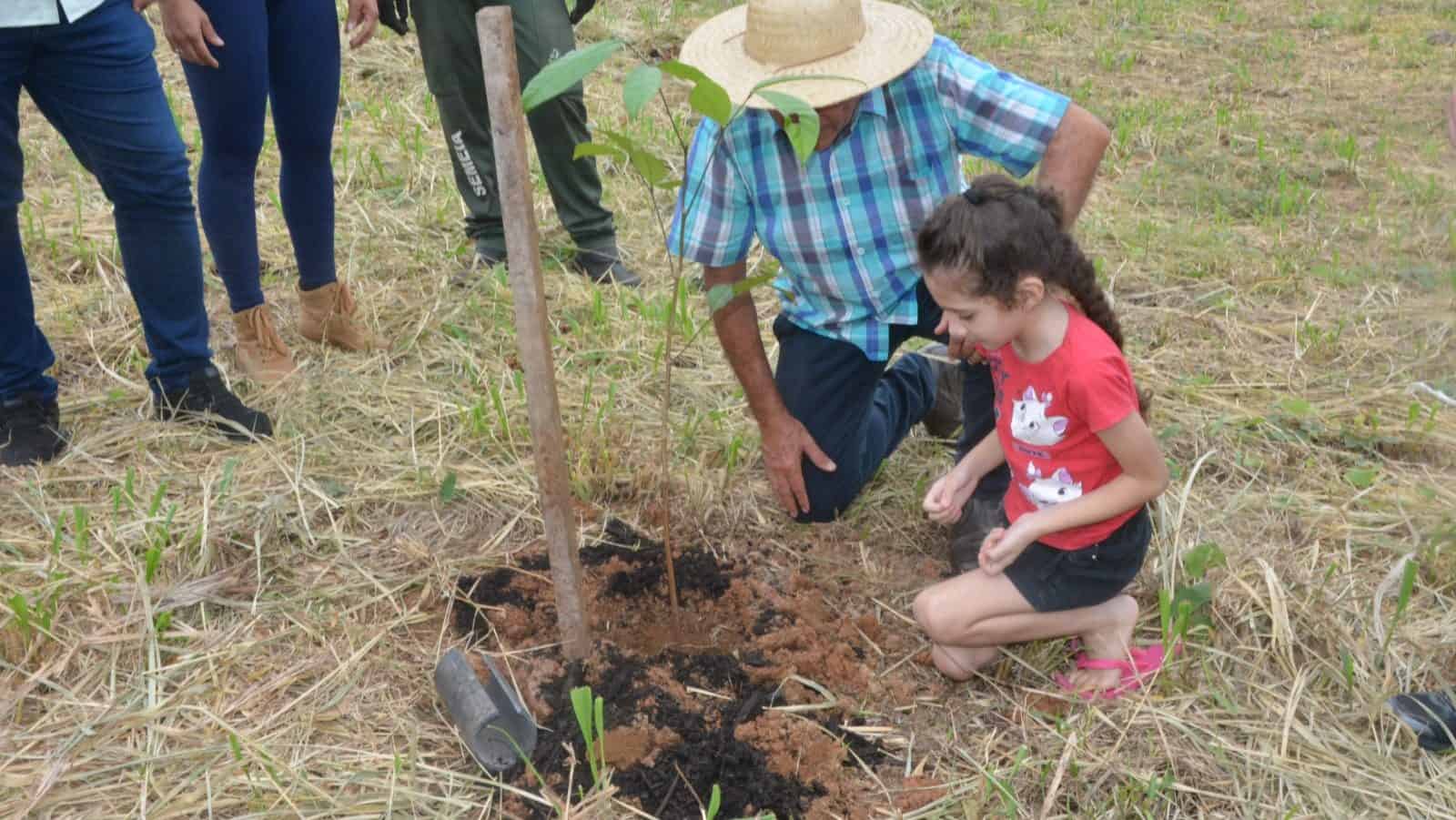 Mudas de árvores florestais e frutíferas são plantadas no Dia Mundial da Água