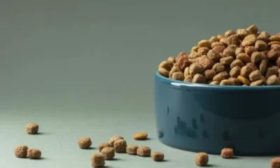 Racao-de-cachorro-5-600×400 Freepik