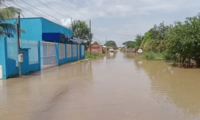 UBS-ALAGADA-1000x600