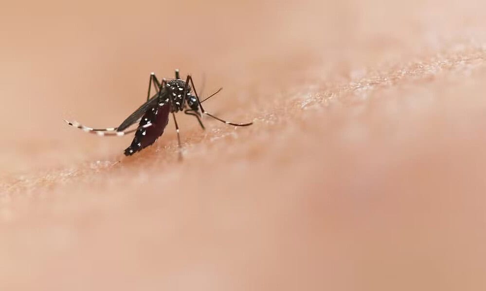 WhatsApp Image 2024-03-02 at 09.07.44 WhatsApp Image 2024-03-02 at 09.07.44