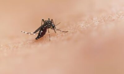 WhatsApp Image 2024-03-02 at 09.07.44 WhatsApp Image 2024-03-02 at 09.07.44