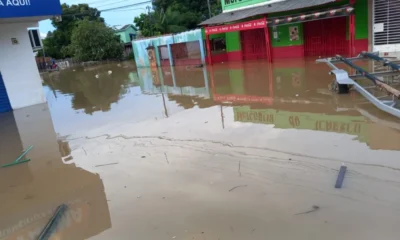 WhatsApp-Image-2024-03-05-at-09.09.37-1000x600