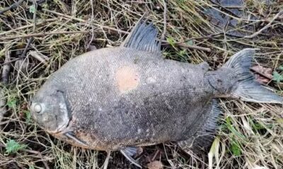 WhatsApp Image 2024-03-05 at 12.01.38 WhatsApp Image 2024-03-05 at 12.01.38