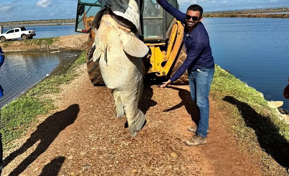 WhatsApp Image 2024-03-05 at 13.27.43 WhatsApp Image 2024-03-05 at 13.27.43