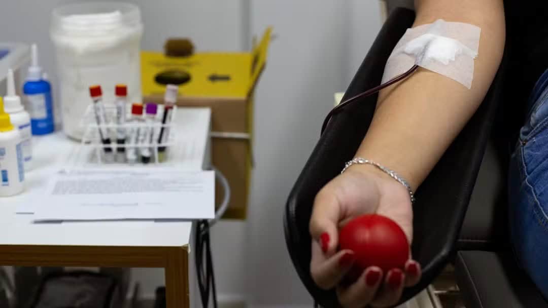 Por que pessoas que tiveram dengue devem esperar para doar sangue