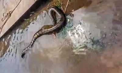 WhatsApp-Image-2024-03-05-at-15.23.34-1000x600