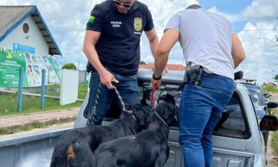 WhatsApp Image 2024-03-06 at 18.57.03