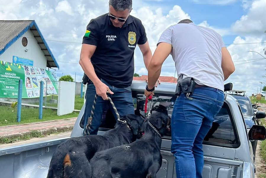 WhatsApp Image 2024-03-06 at 18.57.03 WhatsApp Image 2024-03-06 at 18.57.03