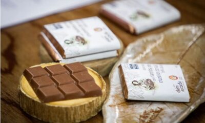 WhatsApp-Image-2024-03-09-at-13.15.45